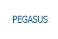 PEGASUS