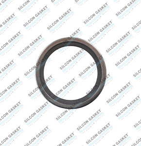 D16A470 16,1 Oıl Seal Gasket