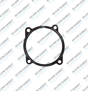 430 F3AE0681D, EUROSTAR, EURO4, Gasket
